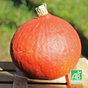 Potimarron - env. 1 kg