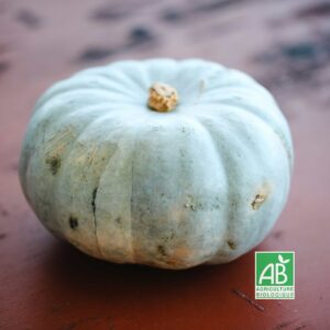 Bleu de Hongrie - env. 2kg