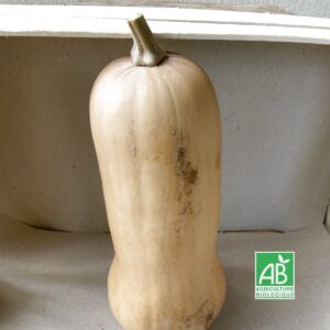 Butternut - env. 1,0 kg