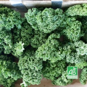 Choux Kale - 250 g