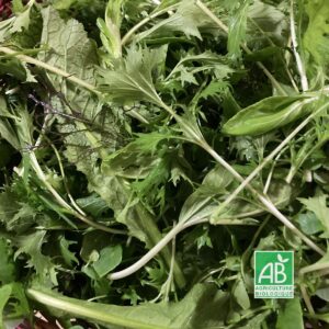 Mesclun - 100g